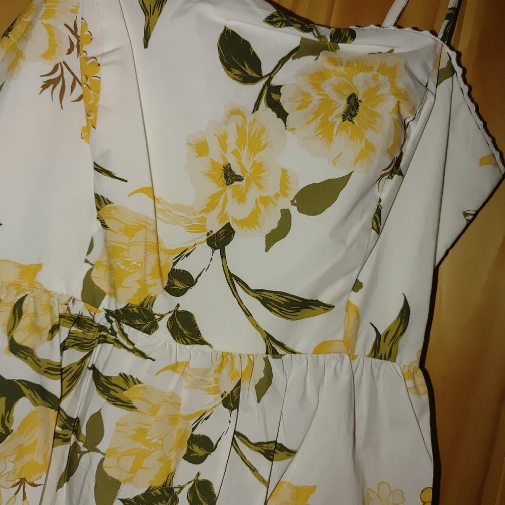 BB Dakota by Steve Madden Lush Life Dress NWT Size 0 - Picture 2 of 10